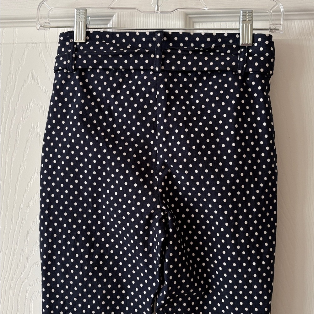 JULES & LEOPOLD Navy Polka Dot Pants - Picture 4 of 15